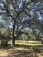 5385 ranch road 165, blanco,  TX 78606