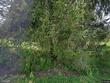 226 knapp hill rd, castle creek,  NY 13744