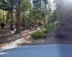 190 grindelwald rd, mammoth lakes,  CA 93546