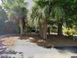 1205 jungle rd, edisto island,  SC 29438
