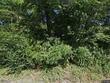 1466 swinging limb rd, dresden,  TN 38225
