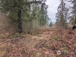 46017 baker dr, concrete,  WA 98237
