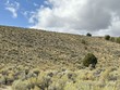 sec 9 twp 39n rge 68e mdb&m parcel,, montello,  NV 89830