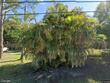 4598 sw 83rd st, palm city,  FL 34990