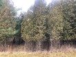 7000 bear swamp rd, medina,  OH 44256