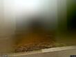 1800 nw westbrooke dr, blue springs,  MO 64015