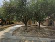 156 lynn loop, laredo,  TX 78045