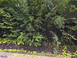 1741 chandler rd, northfield,  VT 05663