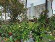 10600 s ocean dr apt 104
                                ,Unit Apt 104, jensen beach,  FL 34957