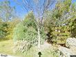 1611 villa strada, santa fe,  NM 87506