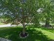6331 ensley ln, mission hills,  KS 66208