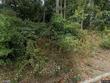 1517 hill rd #3f
                                ,Unit 3F, reading,  PA 19602
