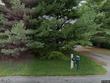 308 snyder rd, oley,  PA 19547