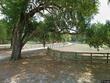 1589 se 44th pl, bushnell,  FL 33513