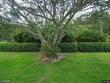 18530 se lakeside dr, jupiter,  FL 33469