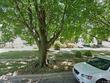 3507 cedardale rd, baltimore,  MD 21215