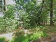 1029 greenwood rd, marienville,  PA 16214