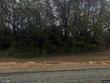 1203 county road 354, ozark,  AL 36360