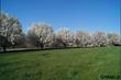 lot 46 eagle ridge drive, missouri valley,  IA 51555