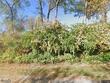 4418 ne parvin rd, kansas city,  MO 64117