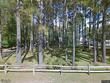 130 seines landing dr, springfield,  GA 31329