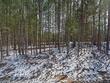 3220 tump wilkins rd, stem,  NC 27581