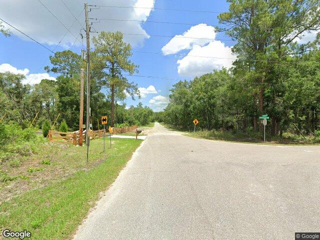 0 cockleberry drive, ridge manor,  FL 33597