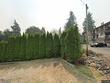  everett,  WA 98203