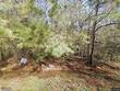 5108 church st, orange,  TX 77632