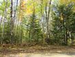 on middle sugarbush ln, lac du flambeau,  WI 54538