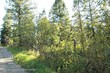 20 cedar creek drive, star valley ranch,  WY 83127