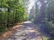 12888 aspen dr, manitowish waters,  WI 54545