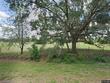 1877 c 478a, webster,  FL 33597