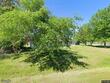 19 stradford dr, orange,  TX 77632