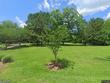 516 hope plantation ln, jacksonboro,  SC 29452