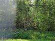 38 state park rd, dover foxcroft,  ME 04426