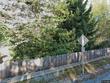 6415 dennis ln, sedro woolley,  WA 98284