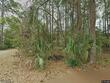 115 josie dr, walterboro,  SC 29488