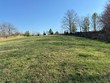 16.70 ac willow grove hwy, allons,  TN 38541