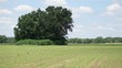 5083 county road 377, caldwell,  TX 77836