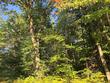 4 ac. sunrise camp rd, minocqua,  WI 54548