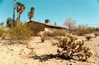  twentynine palms,  CA 92277
