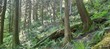 8444 s cascade dr, marblemount,  WA 98267