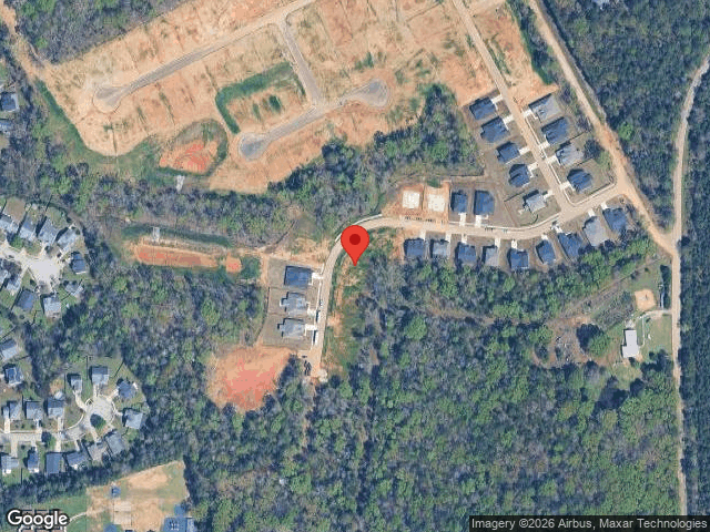 171 collins cove drive, chapin,  SC 29036
