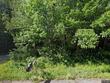 36050 county highway j, bayfield,  WI 54814