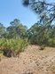 24801 sw 95th st, indiantown,  FL 34956