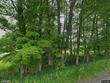  marathon,  NY 13803