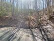 tbd greer town road, lansing,  NC 28643