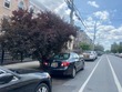  brooklyn,  NY 11233
