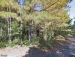  columbia,  SC 29204